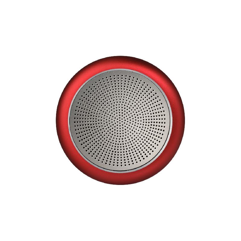 Беспроводная колонка Пассион (Passion) 80dB 600 mAh (Bluetooth 5.0)