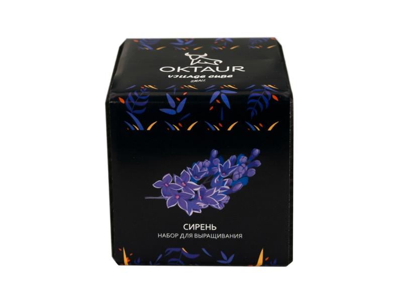 Набор для выращивания Small village cube Сирень