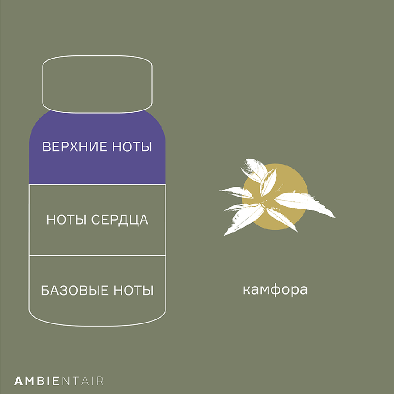 Диффузор ароматический enchanted , spruse, 100 мл