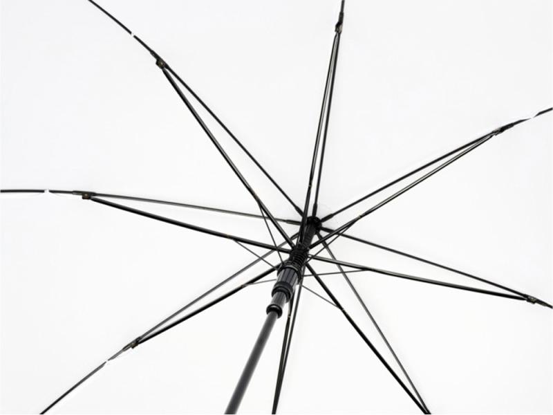 Зонт-трость Alina
