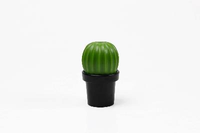 МЕЛЬНИЦА ДЛЯ СПЕЦИЙ Tasty Cactus