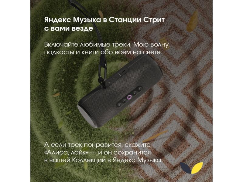 Умная колонка ЯНДЕКС Станция Стрит с Алисой