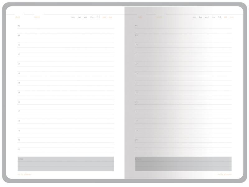 Ежедневник недатированный А5 Mercury