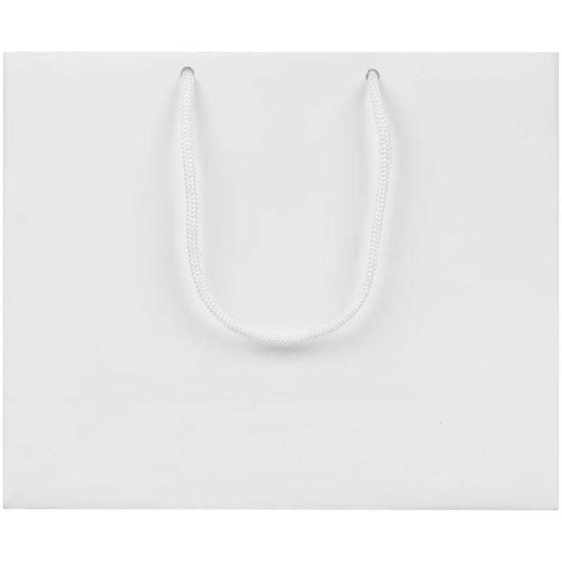 Пакет бумажный с ламинацией Lami Tote S