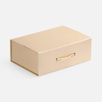 Коробка Portfolio
